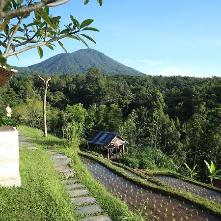 Villa Padi Bali Jatiluwih à Selemadeg Extérieur photo