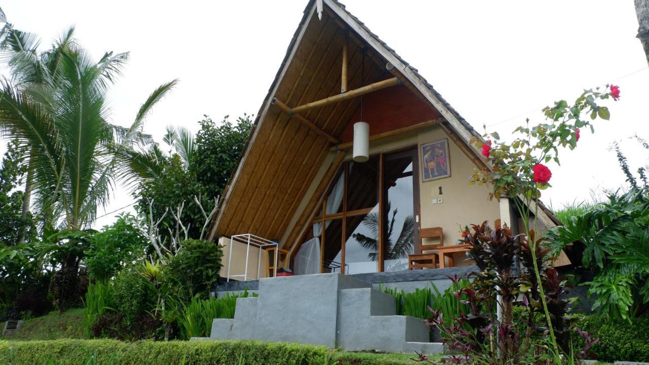 Villa Padi Bali Jatiluwih à Selemadeg Extérieur photo