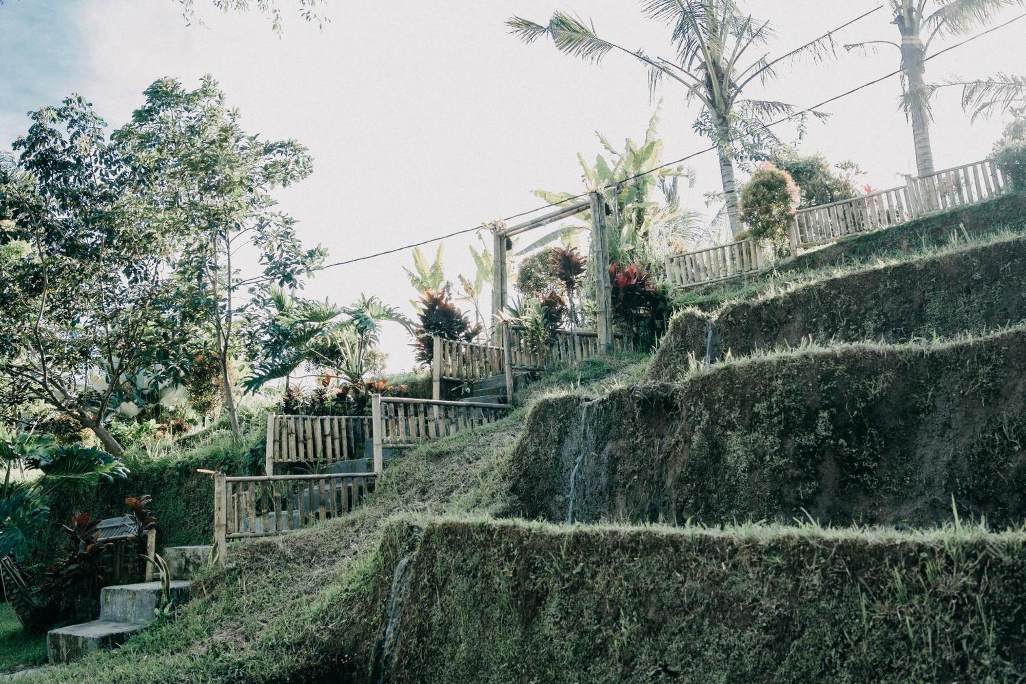 Villa Padi Bali Jatiluwih à Selemadeg Extérieur photo