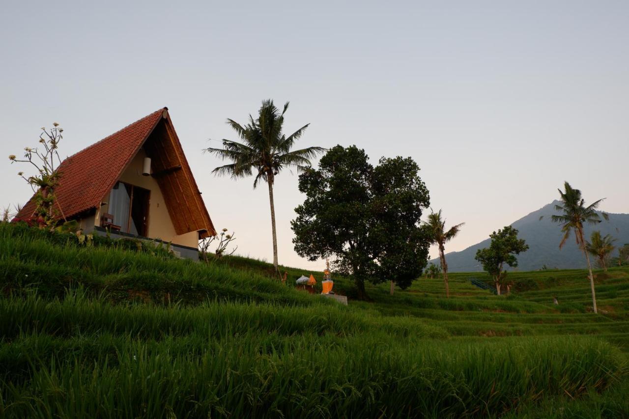 Villa Padi Bali Jatiluwih à Selemadeg Extérieur photo